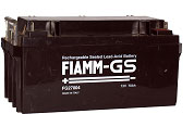 FIAMM 27004